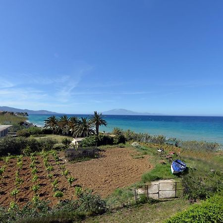 Galini Beach Villa Амуді Екстер'єр фото